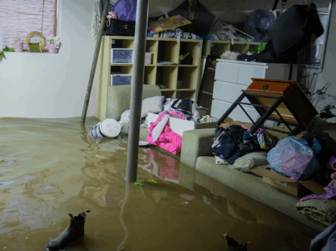 role of loss assessor lancashire